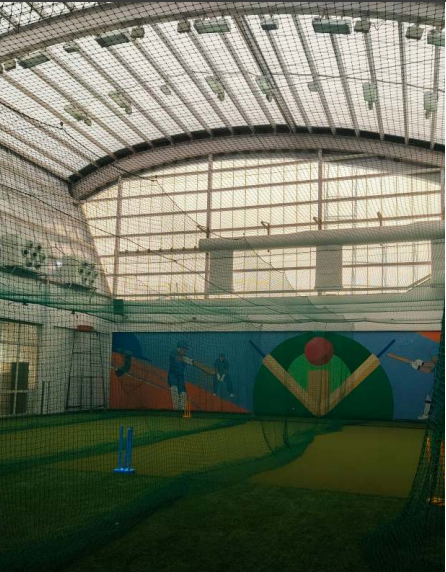 The Attraction image 2